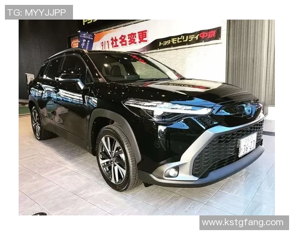 杭州排球队在洲际杯积分榜中以62分稳居第一名展现强劲实力